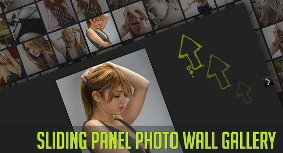 jQueryフルスクリーン画像ギャラリー「Sliding Panel Photo Wall Gallery with jQuery」
